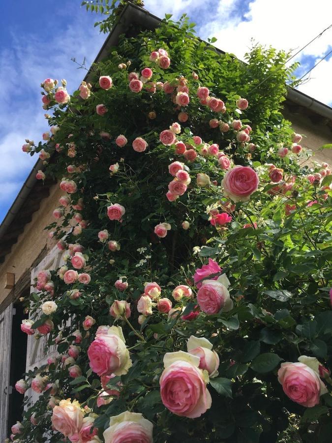 Bed and Breakfast Les Jardins Des Soussilanges Céron Zewnętrze zdjęcie