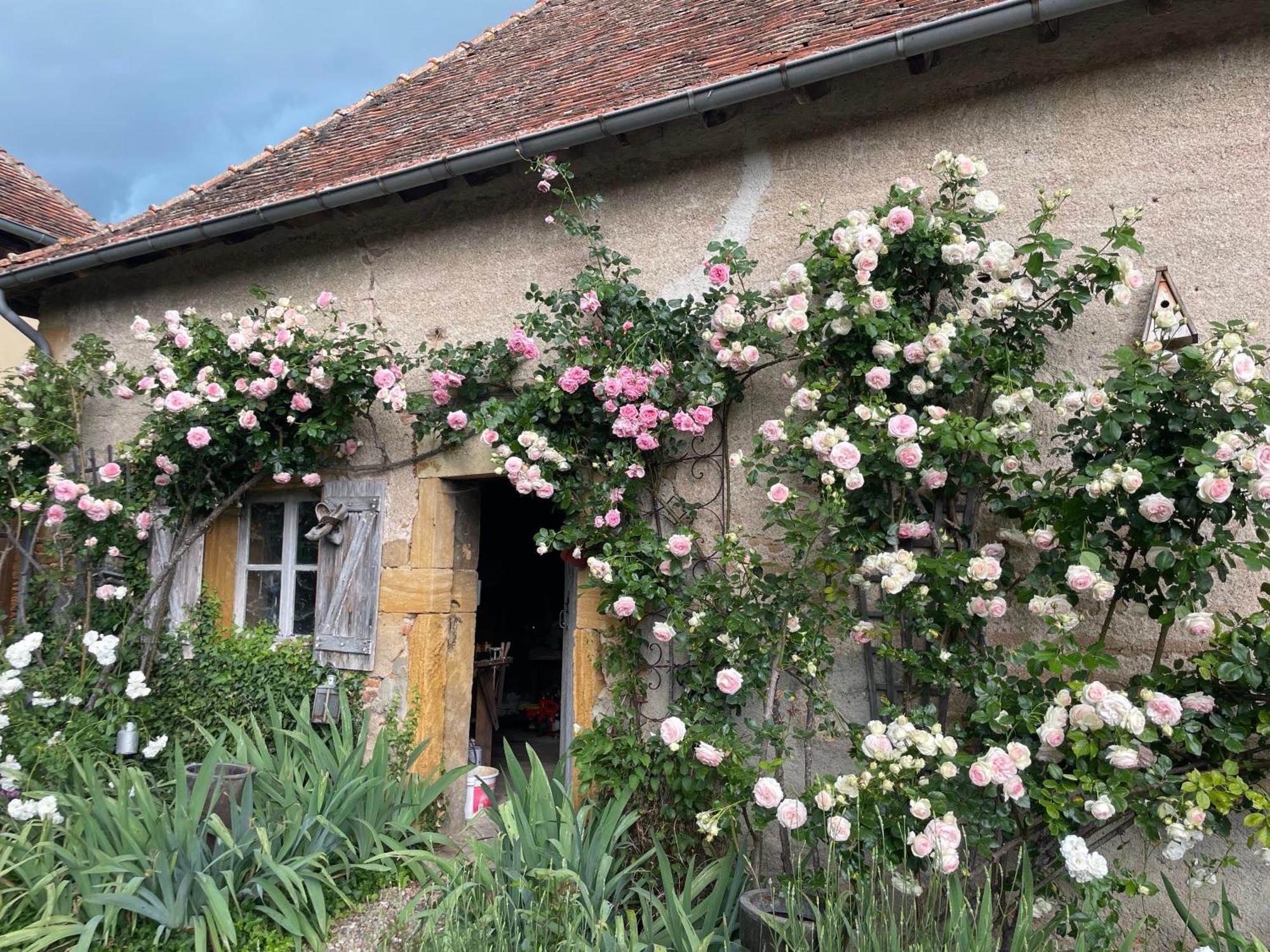 Bed and Breakfast Les Jardins Des Soussilanges Céron Zewnętrze zdjęcie